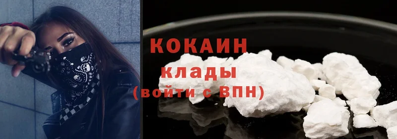 цены наркотик  Куртамыш  Cocaine Fish Scale 